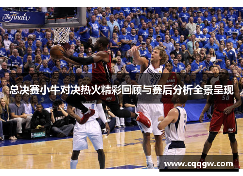 总决赛小牛对决热火精彩回顾与赛后分析全景呈现